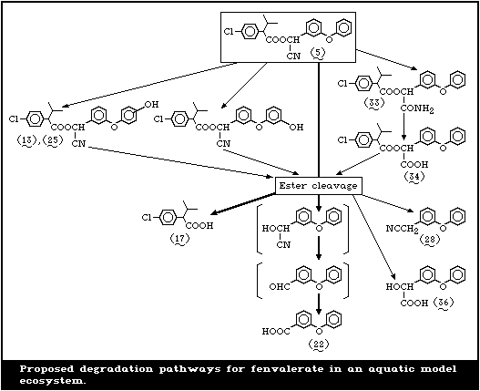  Fenvalerate (EHC 95, 1990)