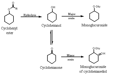  acyclic aliphatic secondary alcohols (see Figure 1) (Lington & Bevan, 
