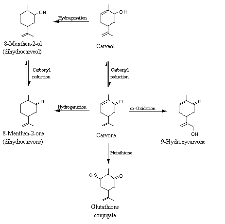 In summary, these 25 alicyclic ketones, secondary alcohols 