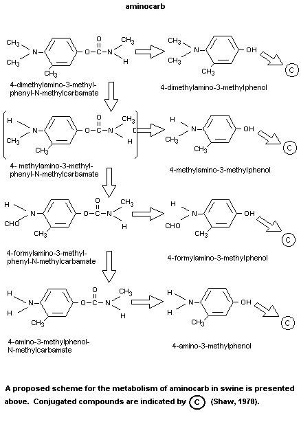 Alkaline ph buffer formulas