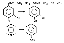 CHEMICAL STRUCTURE 15