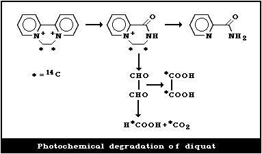 FIGURE 1A